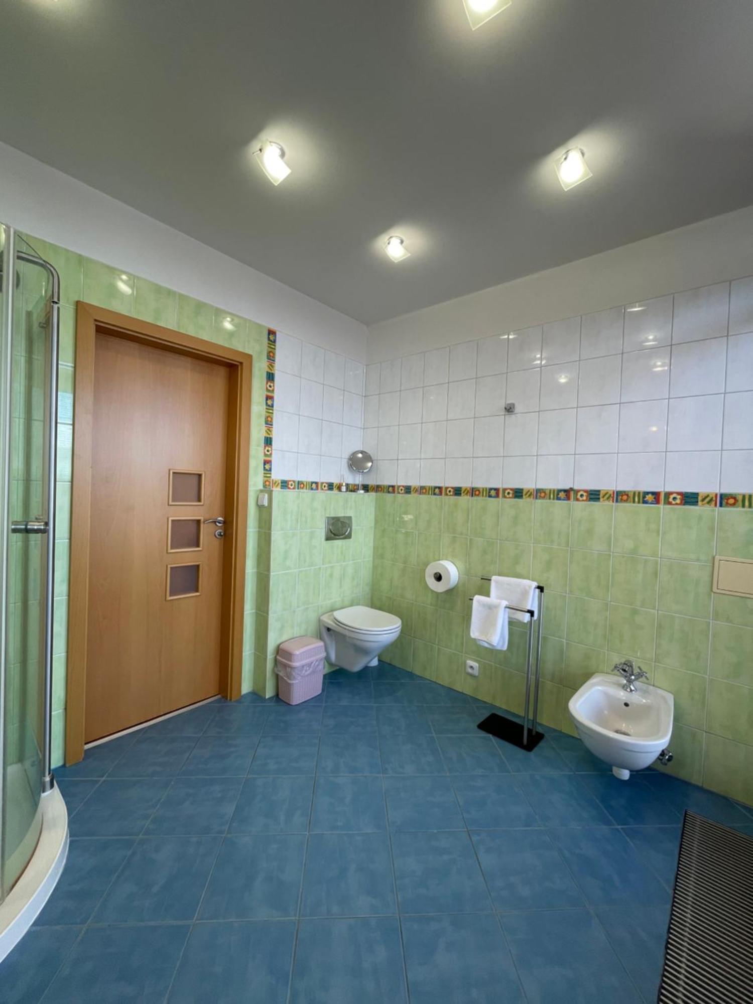 אולומוץ Apartman U Domu מראה חיצוני תמונה